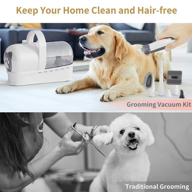 Transform Grooming into a Joyful Bonding Experience